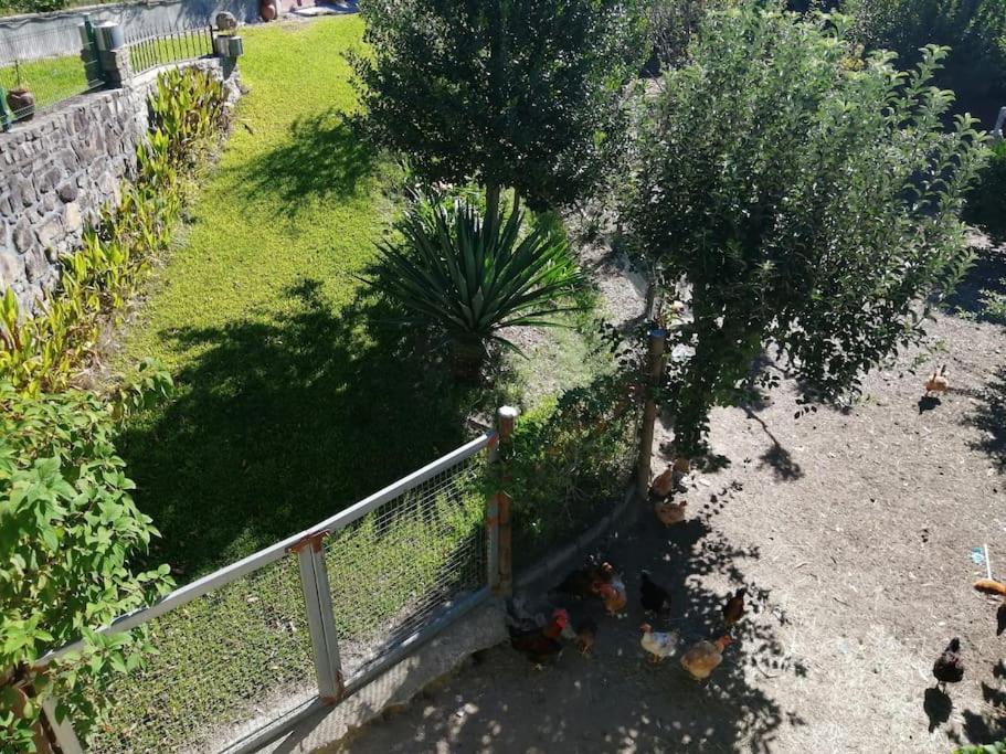 Holiday home Casa Raiz Ponte de Lima